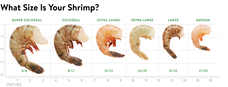 What size is your shrimp? Super Colossal- 6/8 inches. Colossal- 8/12 inches. Extra Jumbo- 16/20 inches. Extra Large- 26/30 inches. Large- 31/35 inches. Medium- 41/50 inches.