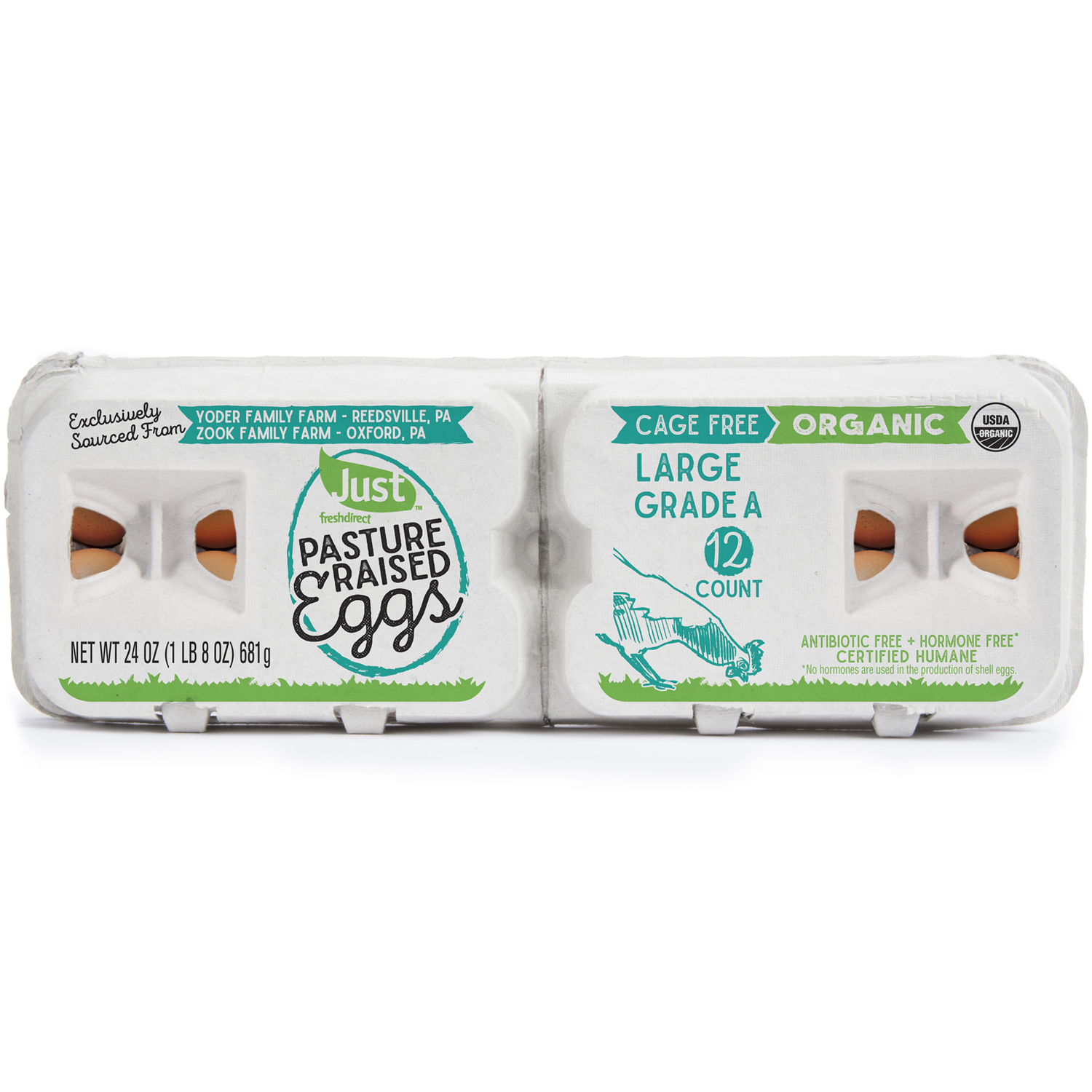 Just FreshDirect Organic Cage-Free Pasture-Raised Grade A Large Eggs, Dozen, image 1 of 2 slides
