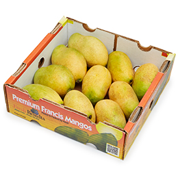 Francine Mango, Case