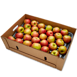 Honeycrisp Apples, Case