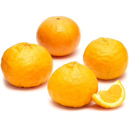 Seedless Pixie Tangerines