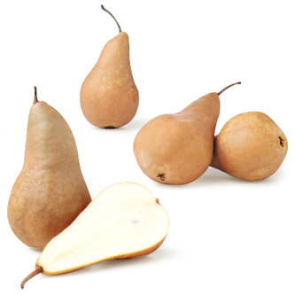 Bosc Pear