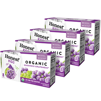 Honest Kids Organic Juice Drink, Goodness Grapeness, Pouches