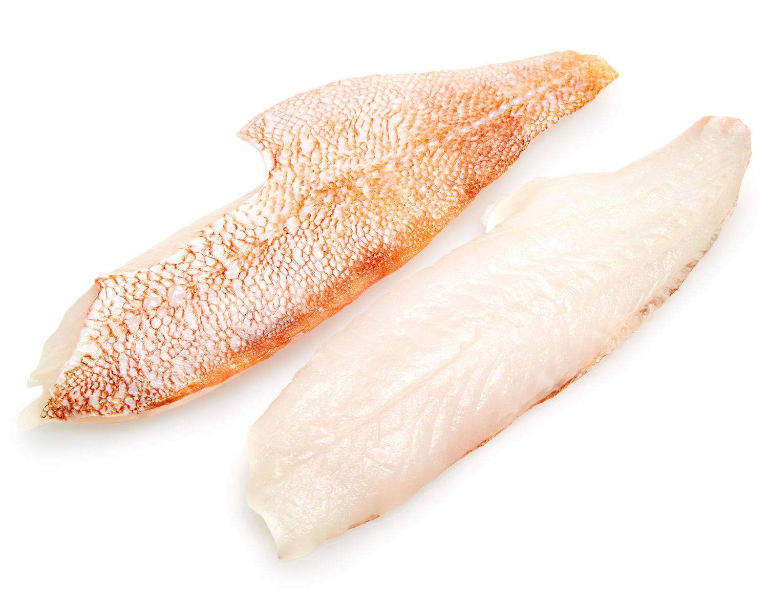 Ocean Perch Fillet