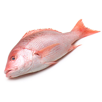 Whole Wild Snapper