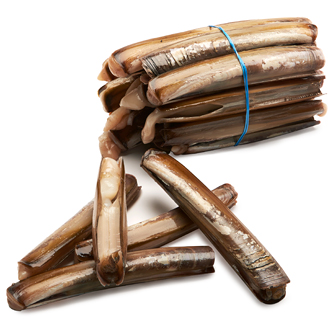 Razor Clams