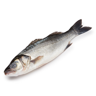 Jumbo Branzino (Approx. 2-3lb)