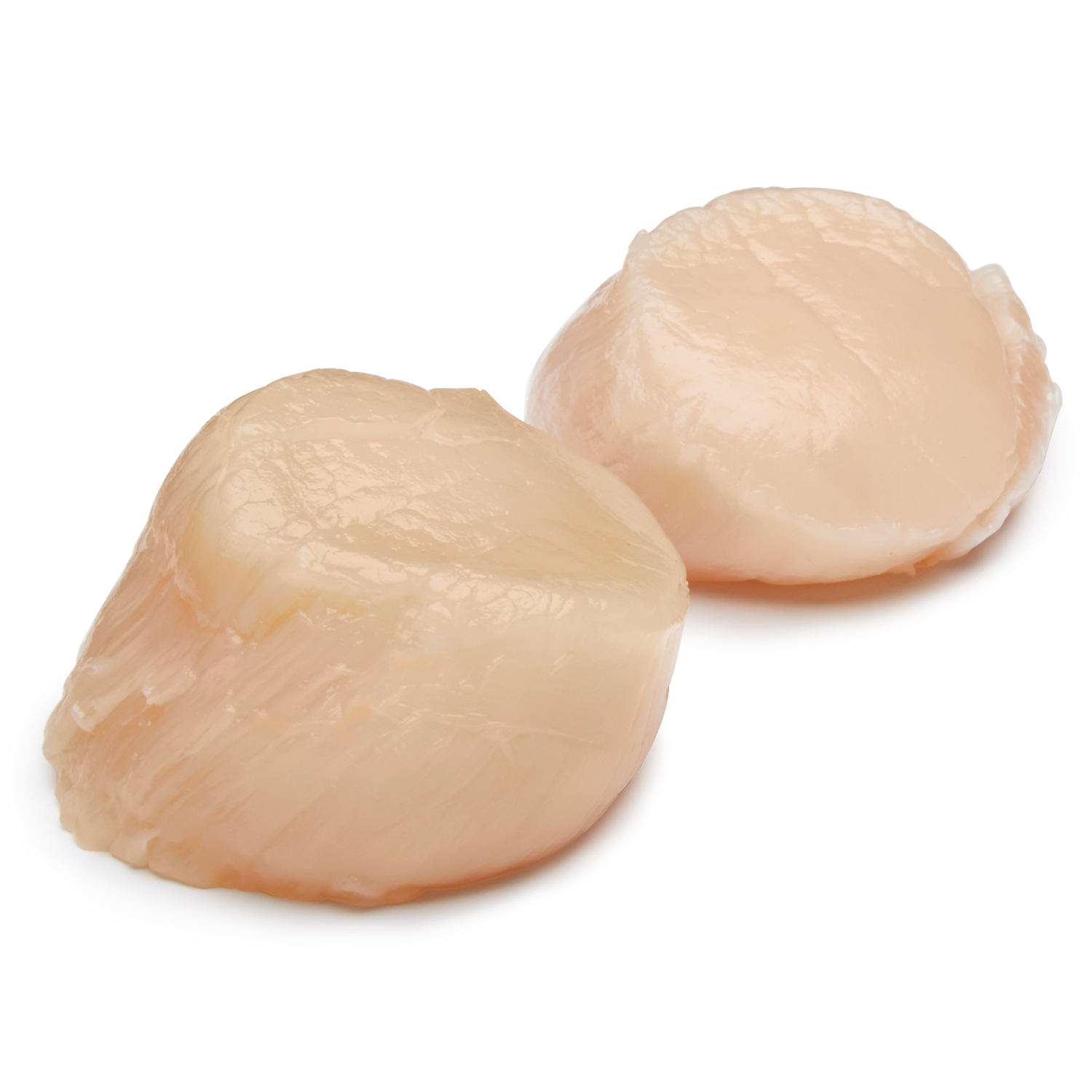 Jumbo U12 Dry Sea Scallops