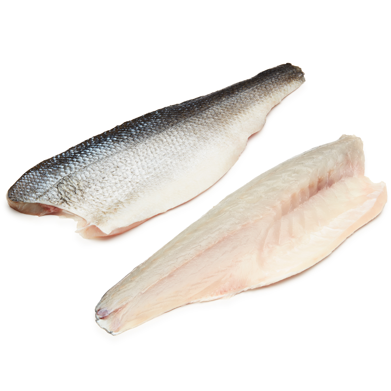 Branzino Fillet