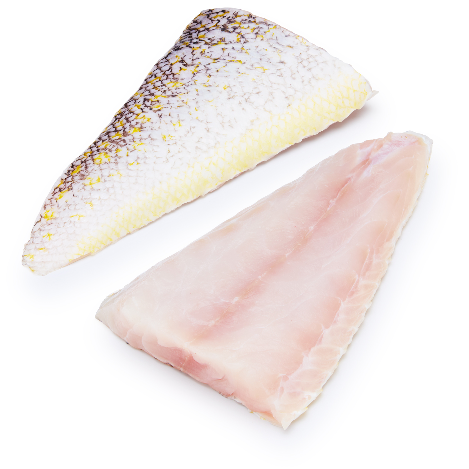 Wild Tilefish Fillet