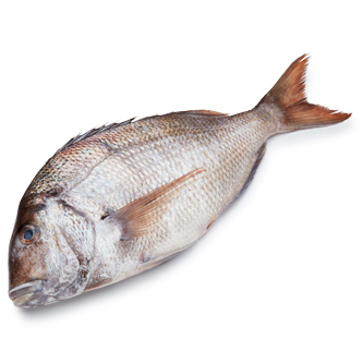 Wild Local Whole Porgy