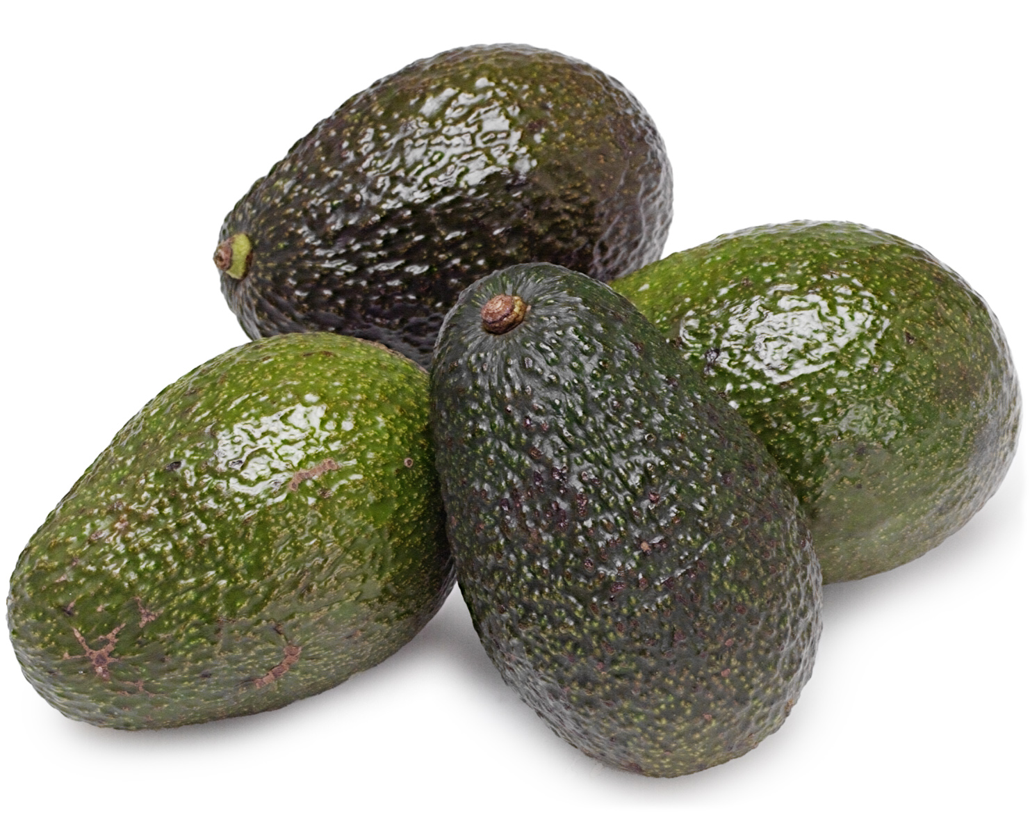 Hass Avocado