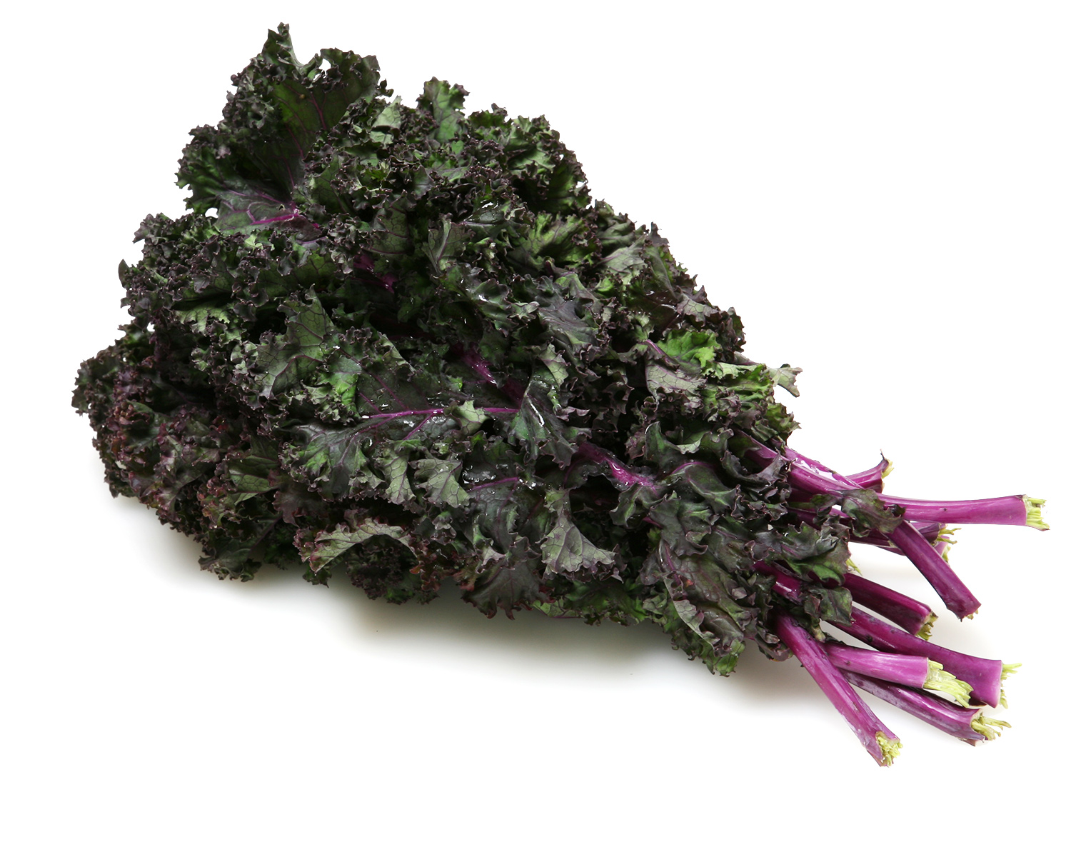 Organic Red Kale