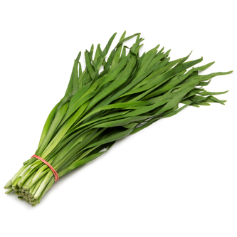 Nira Garlic Chive