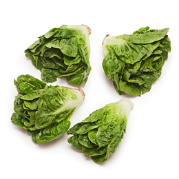Little Gem Lettuce