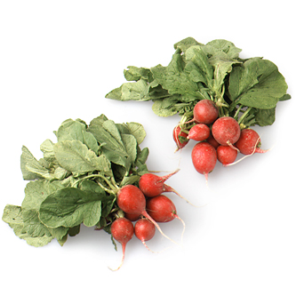 Grown in Pennsylvania Transitional Red Radish