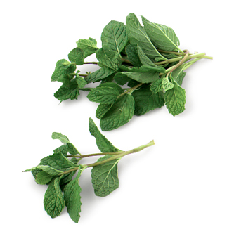 Mint