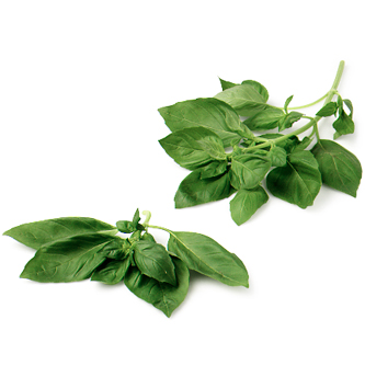 Organic Basil