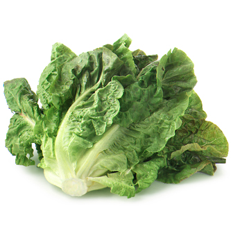 Lancaster Farm Fresh Cooperative Organic Green Romaine Lettuce