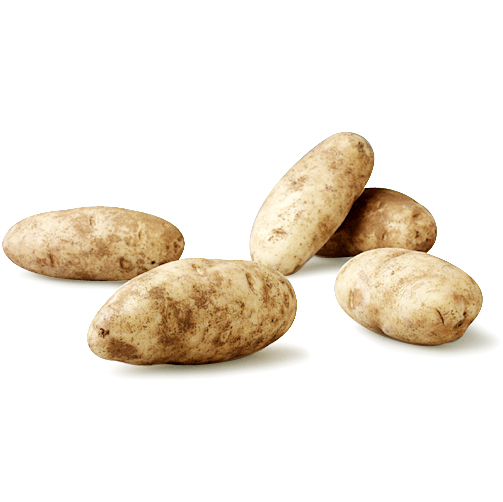 Organic Russet Potato