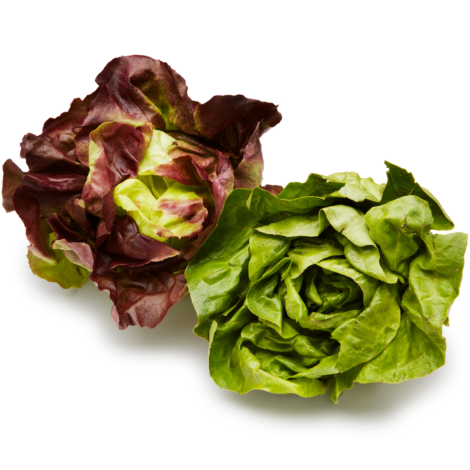 Hepworth Farms Local Organic Baby Lettuce