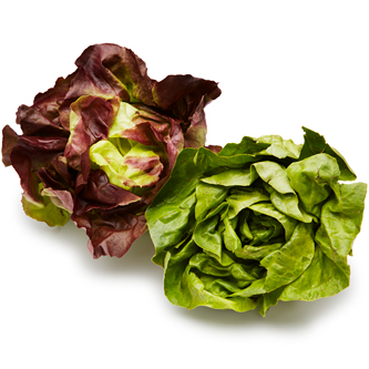 Hepworth Farms Local Organic Baby Lettuce