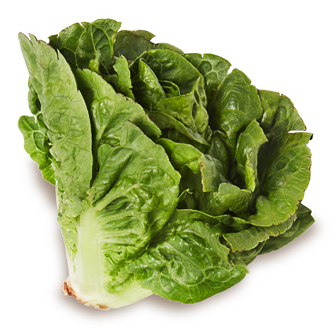 Lancaster Farm Fresh Cooperative Organic Little Gem Lettuce